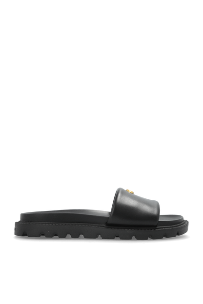 CH Brynn Slides