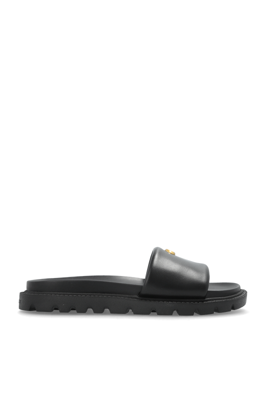 CH Brynn Slides