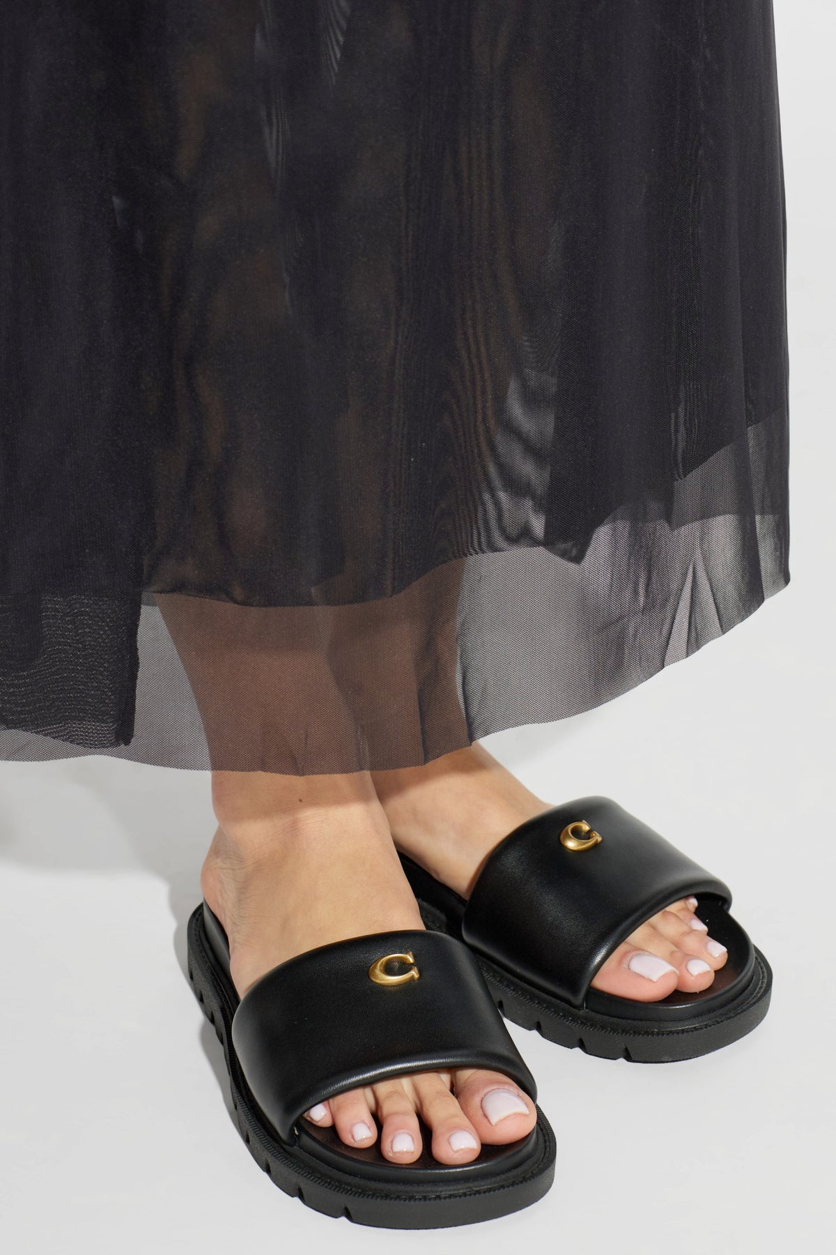 CH Brynn Slides