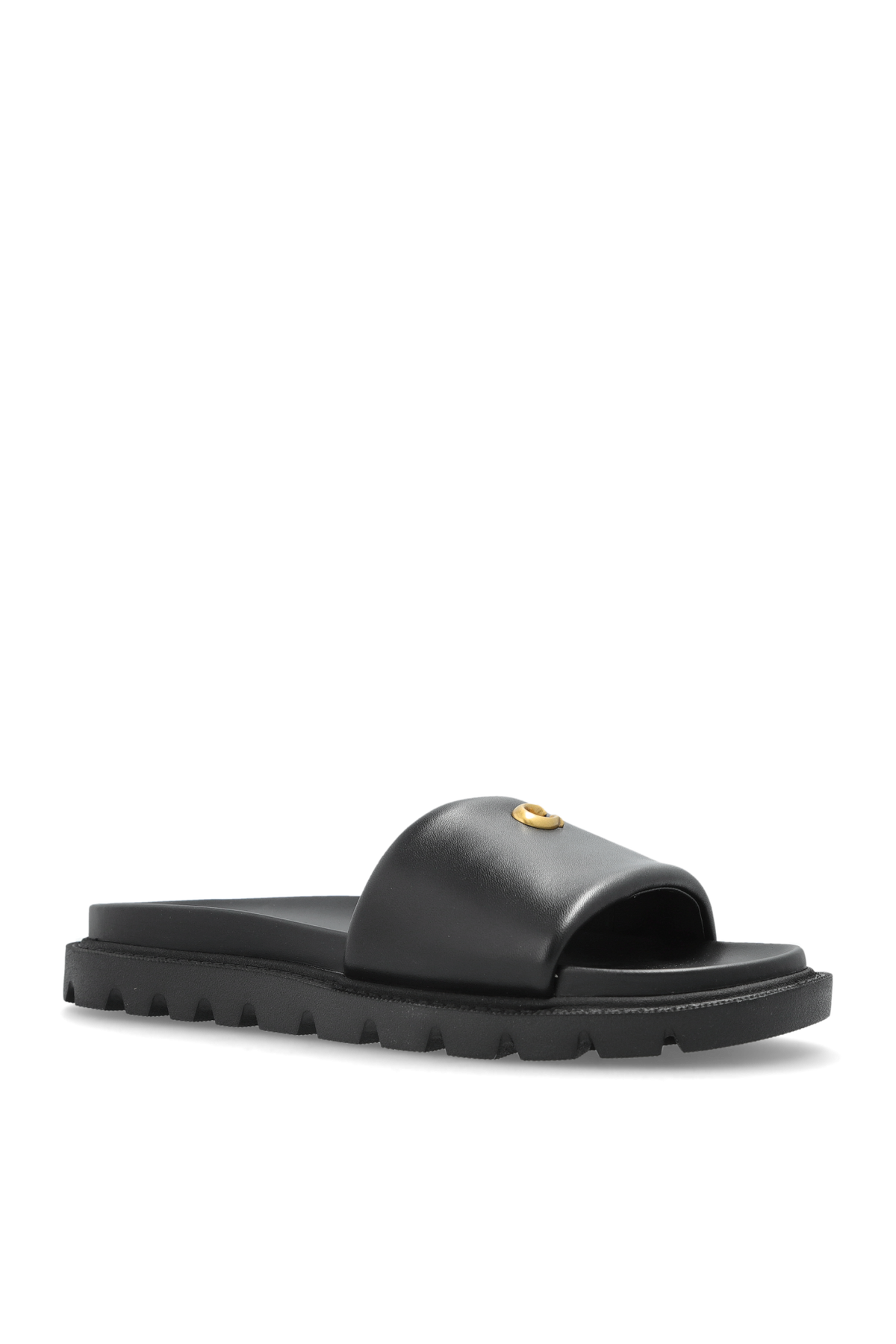 CH Brynn Slides