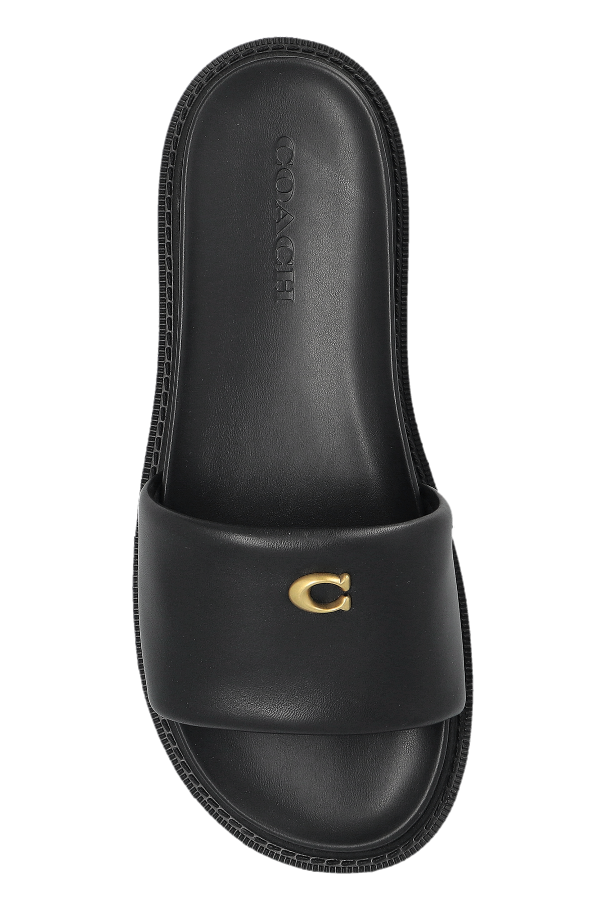 CH Brynn Slides