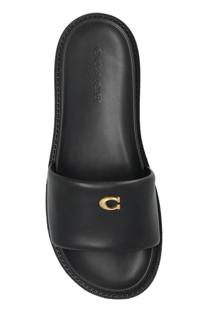 CH Brynn Slides