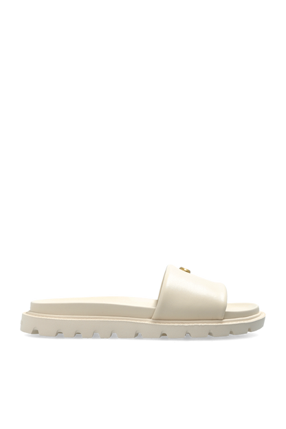 CH Brynn Slides