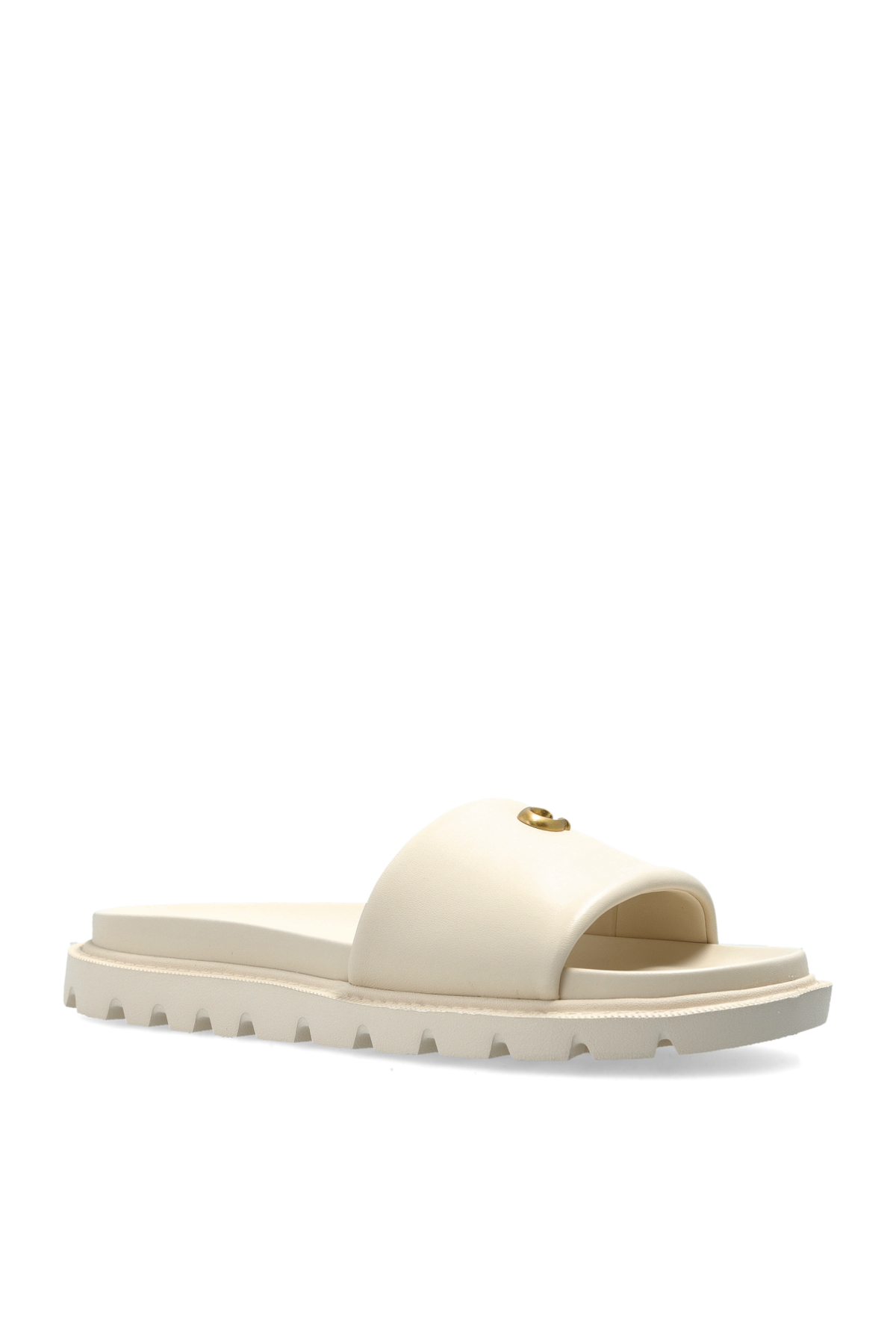 CH Brynn Slides