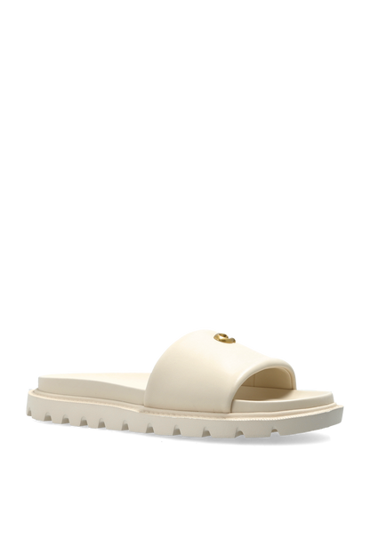 CH Brynn Slides